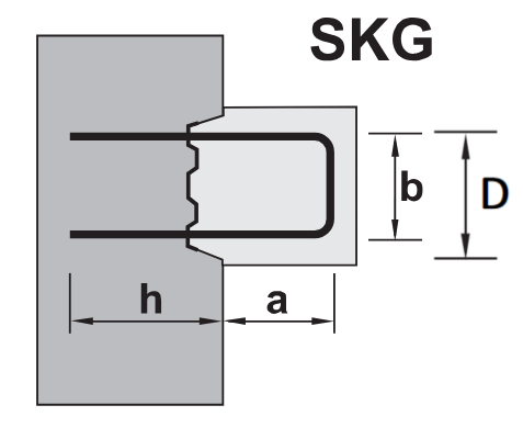 Skg